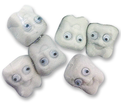 Molar Shaped Pencil Erasers with Googly Eyes - Click Image to Close